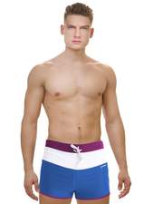 Плавки-шорты мужские для бассейна, син/фиол. р-р 42, TSAE1C